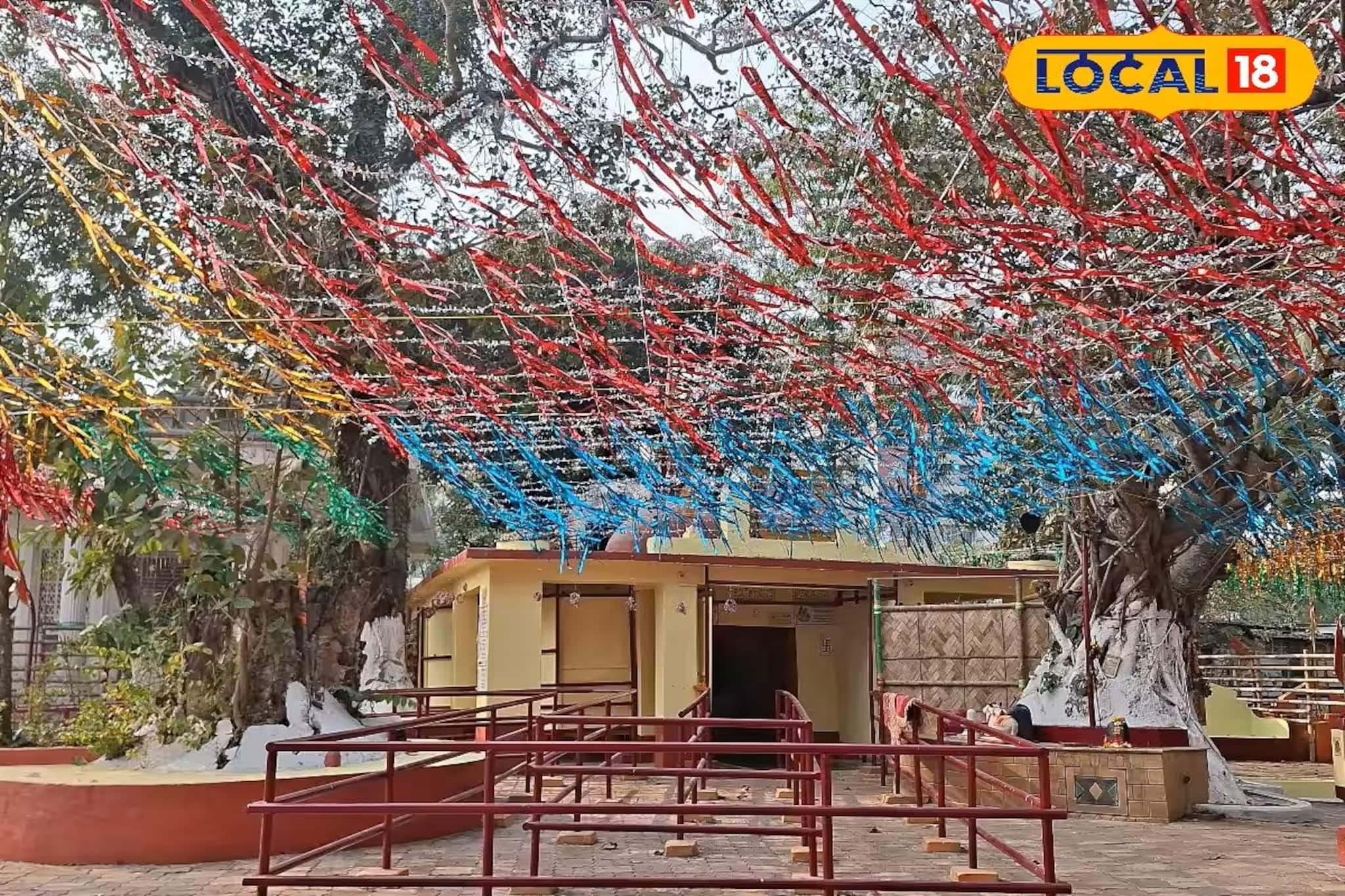 চার প্রহরের পুজো, বদলেছে প্রবেশ ও পার্কিং, শিবরাত্রিতে চাঁদমণি মন্দিরের নিয়ম জানুন