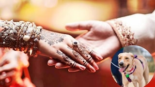 বড় সিদ্ধান্ত নিলেন পাত্রী বড় সিদ্ধান্ত নিলেন পাত্রী