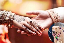 ঘেউ ঘেউ শুনে পোষ্যকে মারধর! বিয়ের মাঝপথেই যা করলেন কনে! চলে এল পুলিশ! উত্তরপ্রদেশের ঘটনায় চাঞ্চল্য