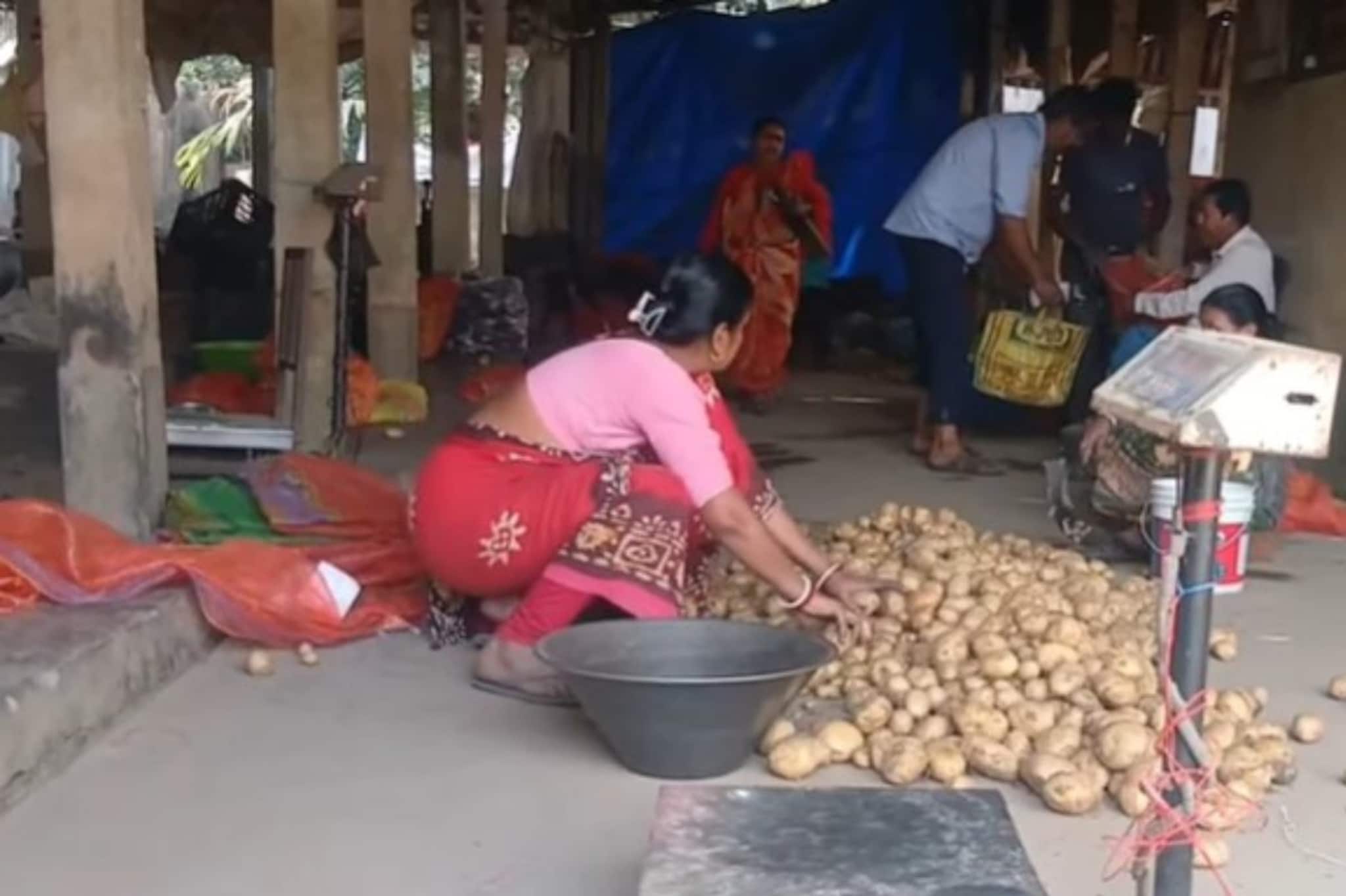 এবার আলু কেটে অর্থ উপার্জন! মহিলাদের জন্য নতুন কুটীর শিল্প এবার পূর্ব বর্ধমানে