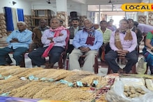 Agriculture News: হাইব্রিড বীজের দাপটে হারিয়ে যাচ্ছে বাংলার মাঠের 'সোনা'! দেশি বীজ সংরক্ষণে জেলায় প্রশিক্ষণ শিবির, কৃষকদের জন্য রইল বিশেষজ্ঞের সুপরামর্শ