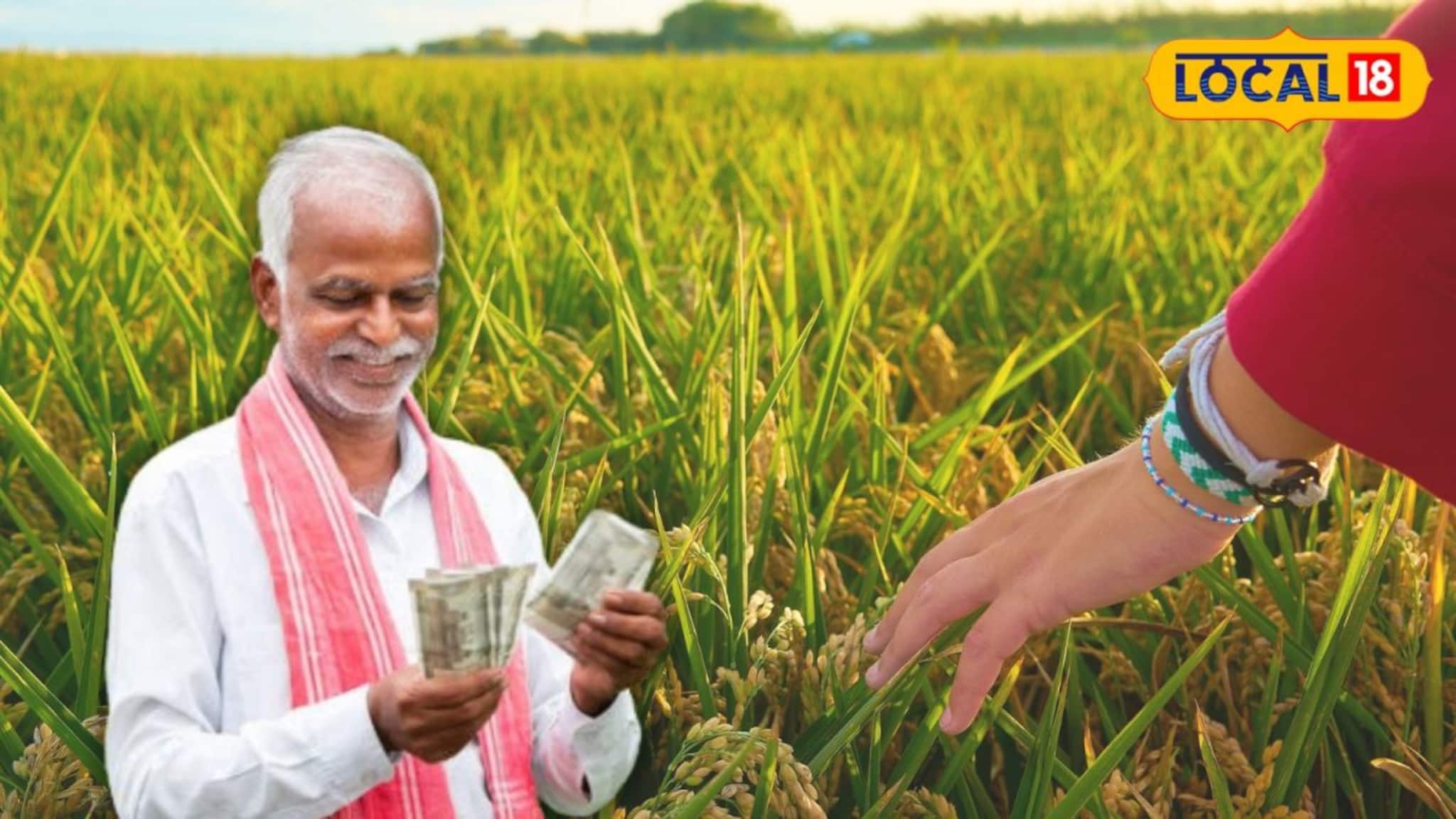 Agriculture News: ১৮০ টাকা কেজি দর...! স্বীকৃতি পেল রাষ্ট্রপুঞ্জের, এই ধান চাষ করে মালামাল হওয়ার সুযোগ বাংলার চাষিদের