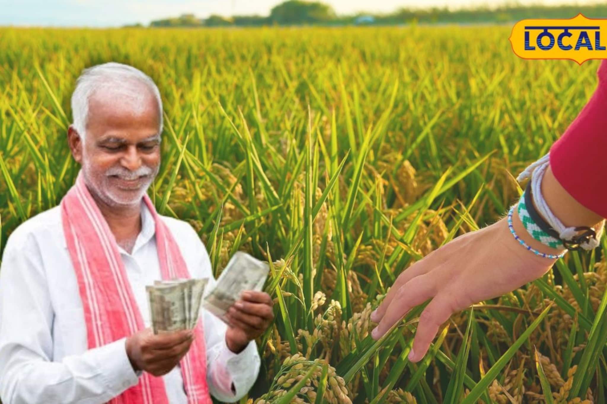 স্বীকৃতি পেল রাষ্ট্রপুঞ্জের, এই ধান চাষ করে মালামাল হওয়ার সুযোগ বাংলার চাষিদের