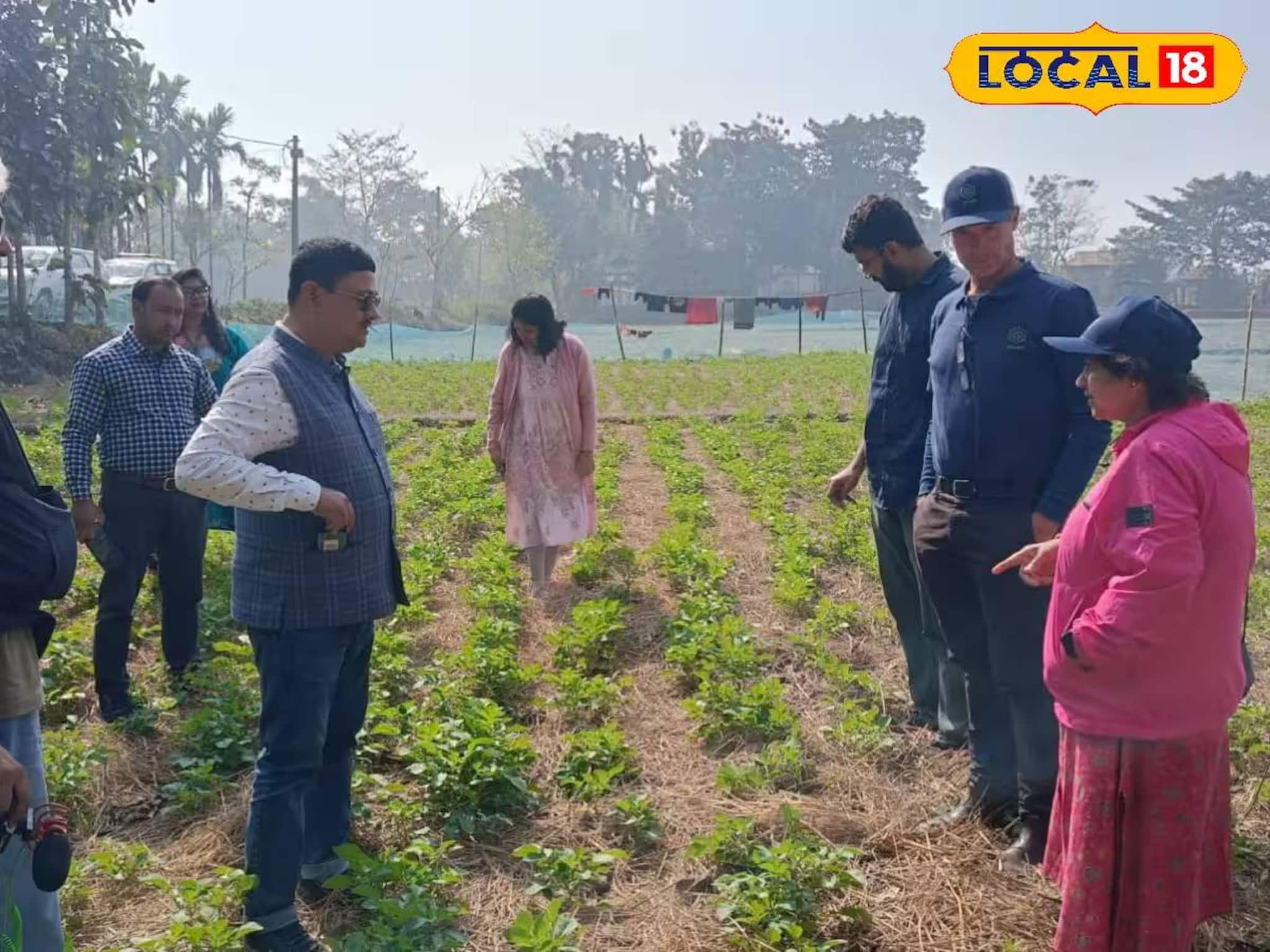 কৃষিকাজে প্রযুক্তির ছোঁয়াতেই বাজিমাত! নয়া পদ্ধতিতে বিকল্প চাষে আয়ের দিশা