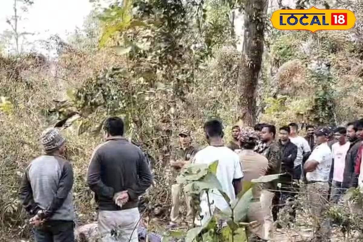জঙ্গলে পুজো করতে গিয়ে সর্বনাশ! হাতির হানায় প্রাণ হারালেন এক ব্যক্তি