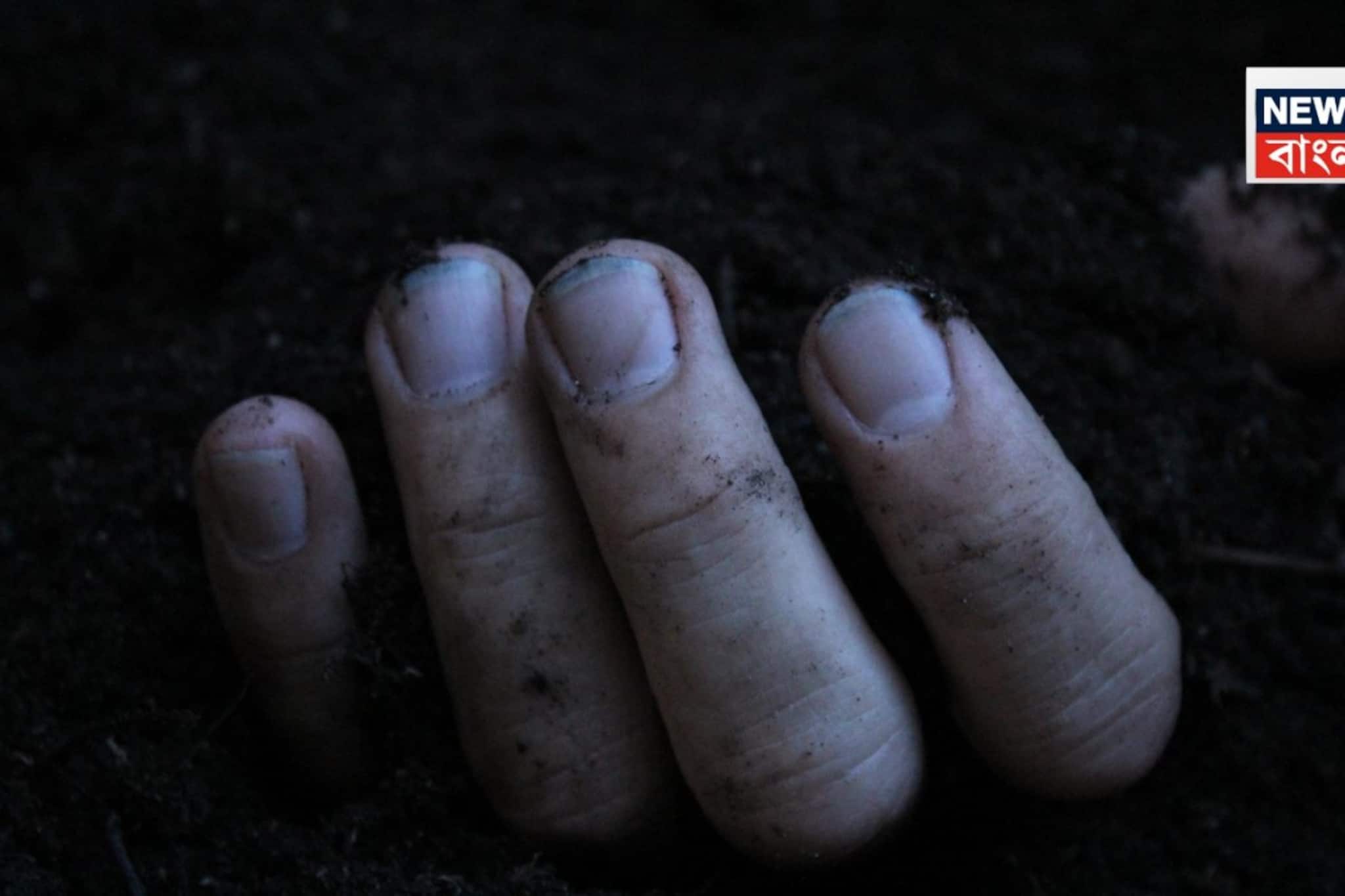 বারবার তালিকায় নাম! হৃদরোগে আক্রান্ত হয়ে বিএলও-র মৃত্যু... কমিশনের বিরুদ্ধে ক্ষোভ বারবার তালিকায় নাম! হৃদরোগে আক্রান্ত হয়ে বিএলও-র মৃত্যু... কমিশনের বিরুদ্ধে ক্ষোভ