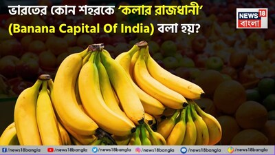 কলা ভারতের সবচেয়ে জনপ্রিয় ফল বললে ভুল হবে না। ব্রেকফাস্টে গোটা কলা, শেক বা স্মুদি, মন্দিরে উৎসর্গ থেকে শুরু করে আঞ্চলিক নানা পদ রাঁধা- কলার ব্যবহার বহুবিধ। সাশ্রয়ী মূল্যের, একই সঙ্গে পুষ্টিকর এবং সারা বছর ধরে পাওয়া যায়, সেই কারণেই এই ফলটি লাখ লাখ ভারতীয় পরিবারেরে নীরবে শক্তি জোগায়। কিন্তু কেউ কি কখনও ভেবে দেখেছেন যে, এই কলাগুলির বেশিরভাগই আসলে কোথা থেকে আসে? ভারতের বিশাল কলা সরবরাহের পিছনে এমন একটি শহর রয়েছে যা এই ফলের চারপাশে একটি শক্তিশালী কৃষি পরিচয় তৈরি করেছে। বিশাল আবাদ, অনুকূল জলবায়ু এবং বৃহৎ আকারের উৎপাদনের সঙ্গে মহারাষ্ট্রের এই শহরটি সারা দেশের কলার চাহিদা মেটাতে গুরুত্বপূর্ণ ভূমিকা পালন করে। এক নজরে দেখে নেওয়া যাক কোন শহরটি ভারতের কলার রাজধানী হিসাবে ব্যাপকভাবে পরিচিত।