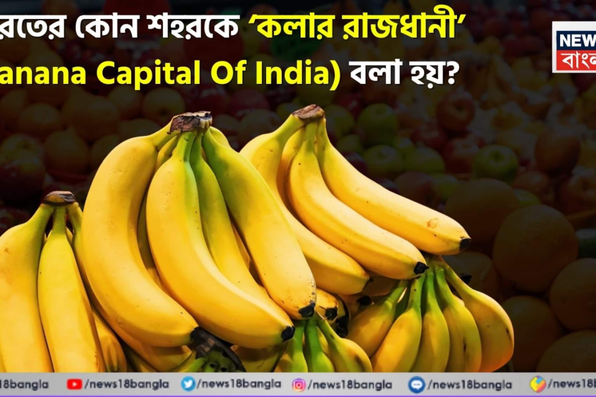 ভারতের কোন শহরকে ‘কলার রাজধানী’ বলা হয়? সামনে এল চমকে দেওয়া তথ্য