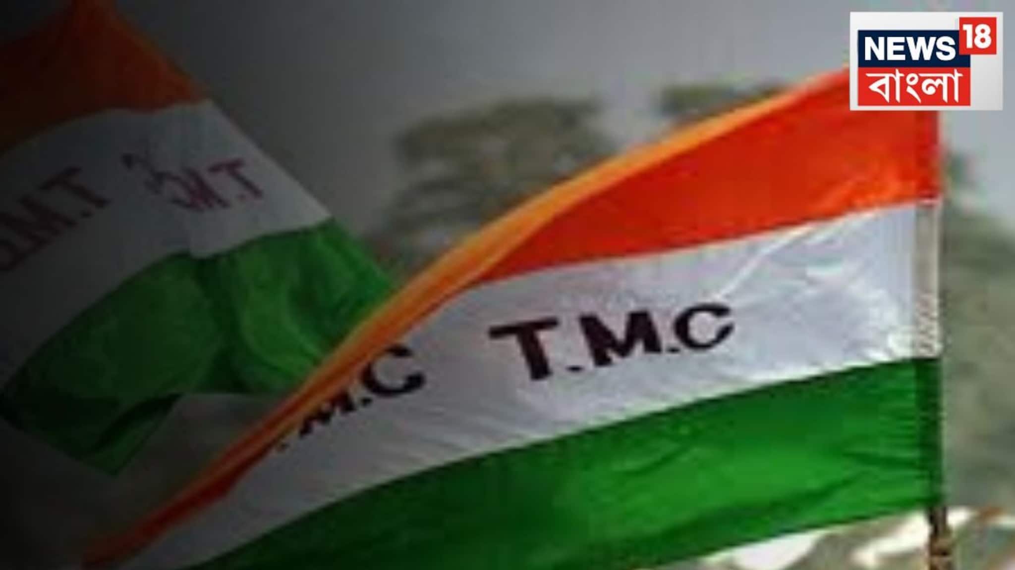 TMC News: ভোটের আগে তৃণমূলের মাস্টারপ্ল্যান! জেলায় জেলায় ইলেকশন কোর কমিটি