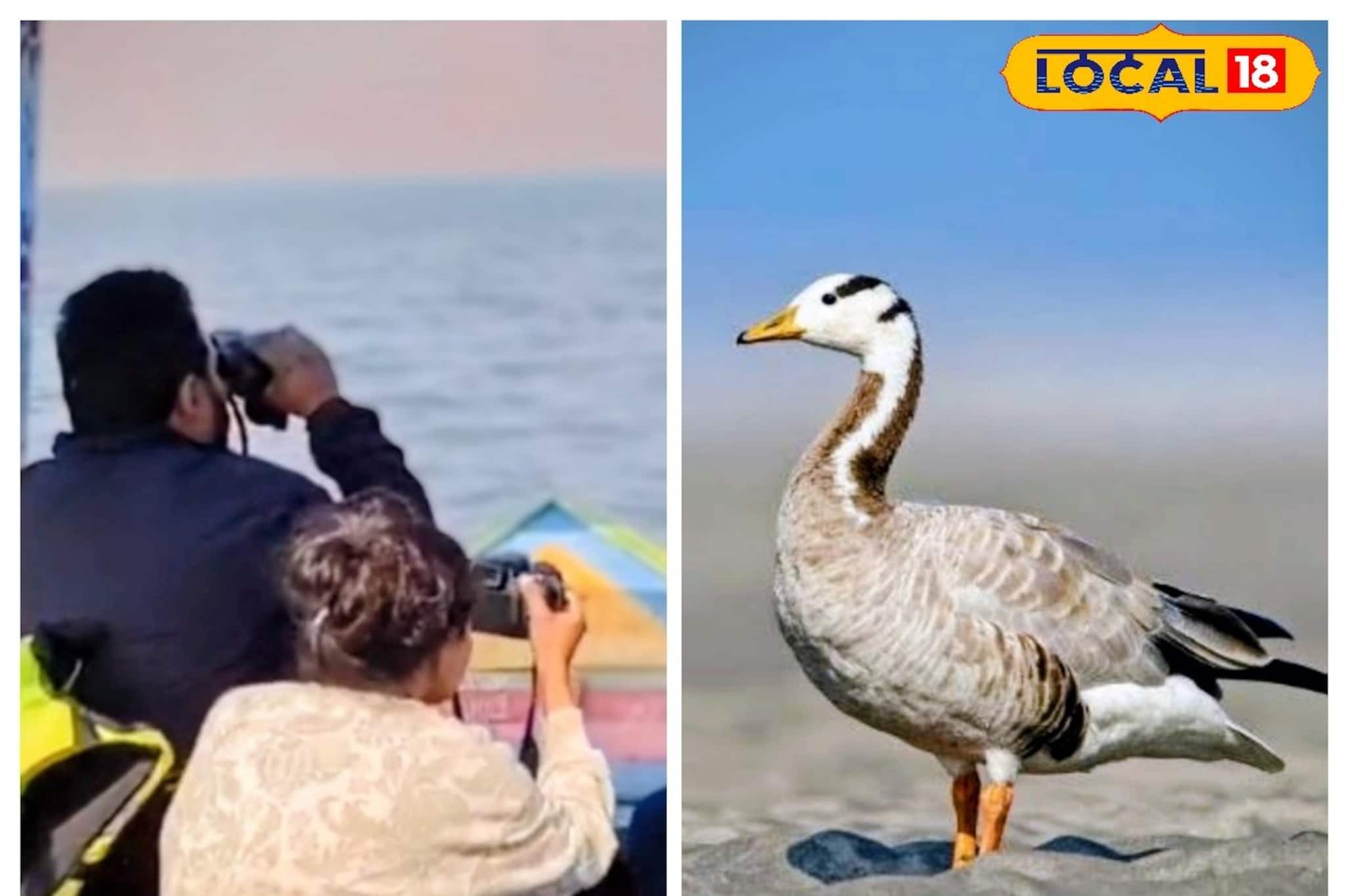 বাঁকুড়ায় শীতের নতুন চমক! হিমালয় ডিঙিয়ে উড়ে এল ‘বার হেডেড গুজ’, উচ্ছ্বসিত পক্ষীপ্রেমীরা বাঁকুড়ায় শীতের নতুন চমক! হিমালয় ডিঙিয়ে উড়ে এল ‘বার হেডেড গুজ’, উচ্ছ্বসিত পক্ষীপ্রেমীরা