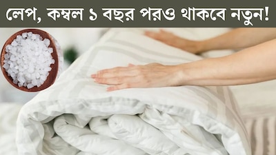 পাকাপাকি তুলে রাখবেন লেপ, কম্বল? ভাঁজের সময় ফেলে দিন ছোট্ট সাদা এক টুকরো এই জিনিস! পোকামাকড়, দুর্গন্ধ ধারে কাছে ঘেঁষবে না, ১ বছর পরও থাকবে নতুন