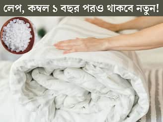 পাকাপাকি তুলে রাখবেন লেপ, কম্বল? ভাঁজের সময় ফেলে দিন ছোট্ট সাদা এক টুকরো এই জিনিস!