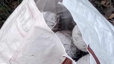 সাগরদিঘিতে বোমা উদ্ধারRepresentative Image