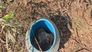 আউশগ্রামে উদ্ধার হওয়া বোমা৷ 