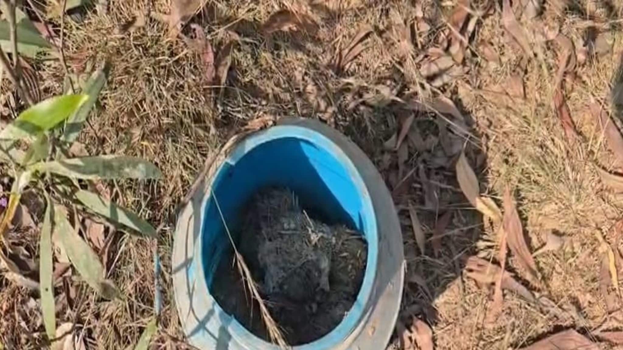 প্লাস্টিকের পাত্রে এগুলি কী! উঁকি দিতেই সবার চোখ কপালে, আউশগ্রামে এলাকা ঘিরল পুলিশ