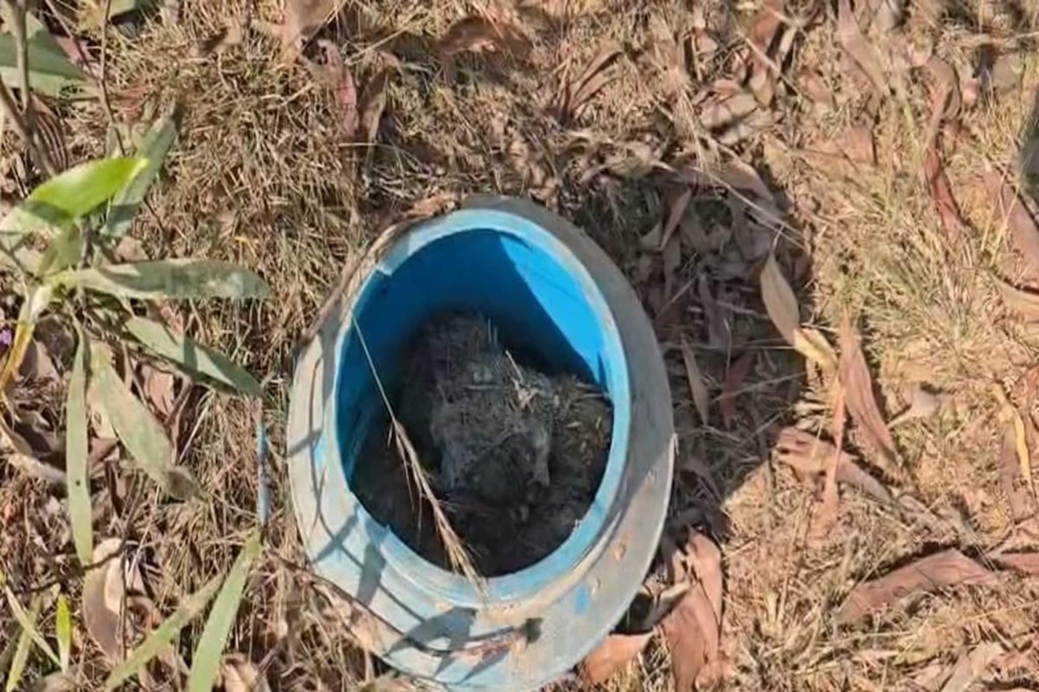 প্লাস্টিকের পাত্রে এগুলি কী! উঁকি দিতেই সবার চোখ কপালে, আউশগ্রামে এলাকা ঘিরল পুলিশ