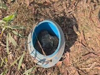 আউশগ্রামে উদ্ধার হওয়া বোমা৷ 