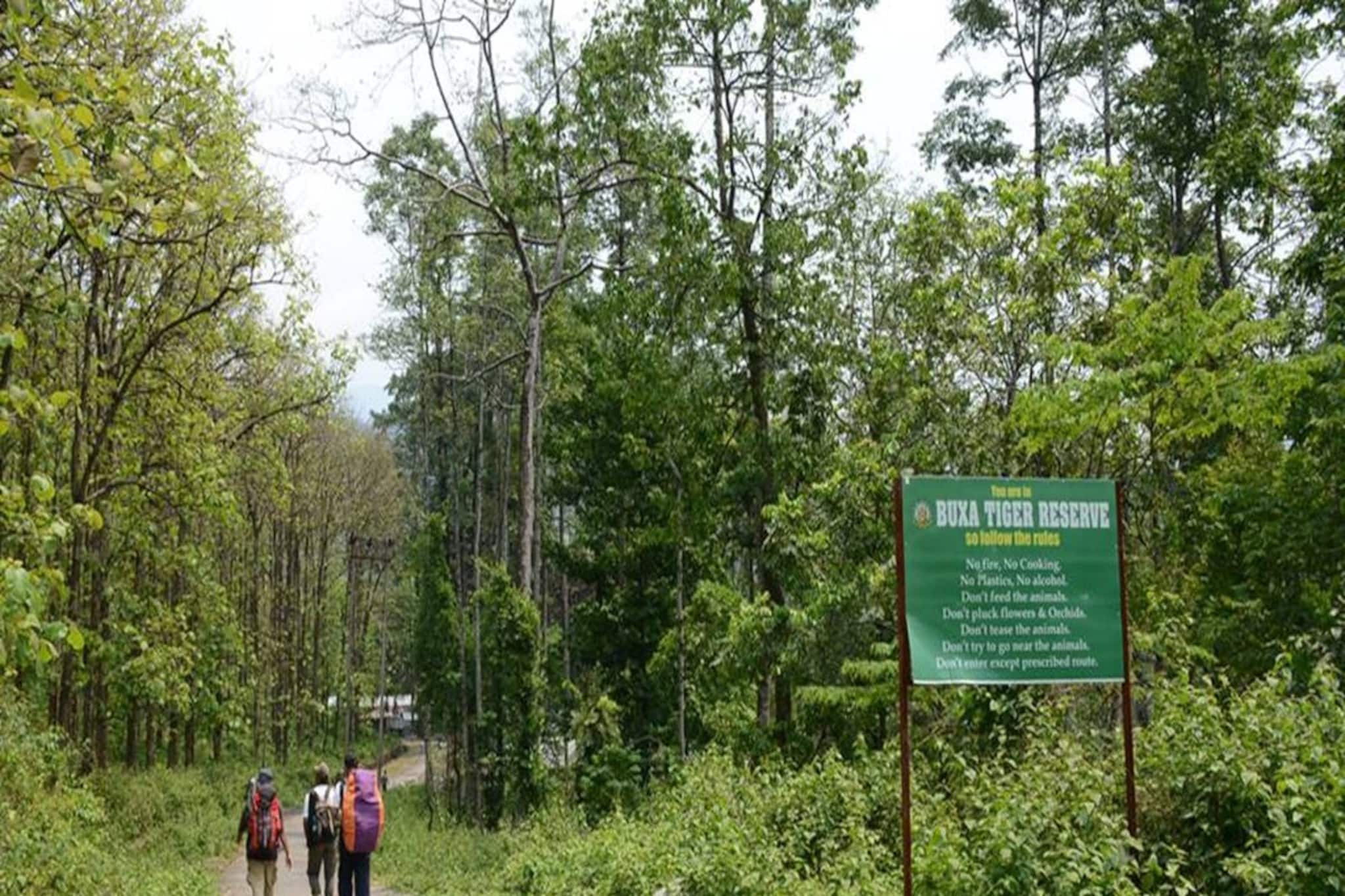 বক্সা টাইগার রিজার্ভের ভিতর জয়ন্তী পর্যন্ত রেলপথ! নতুন স্বপ্ন দেখছে পাহাড়ি জনপদ, জানুন
