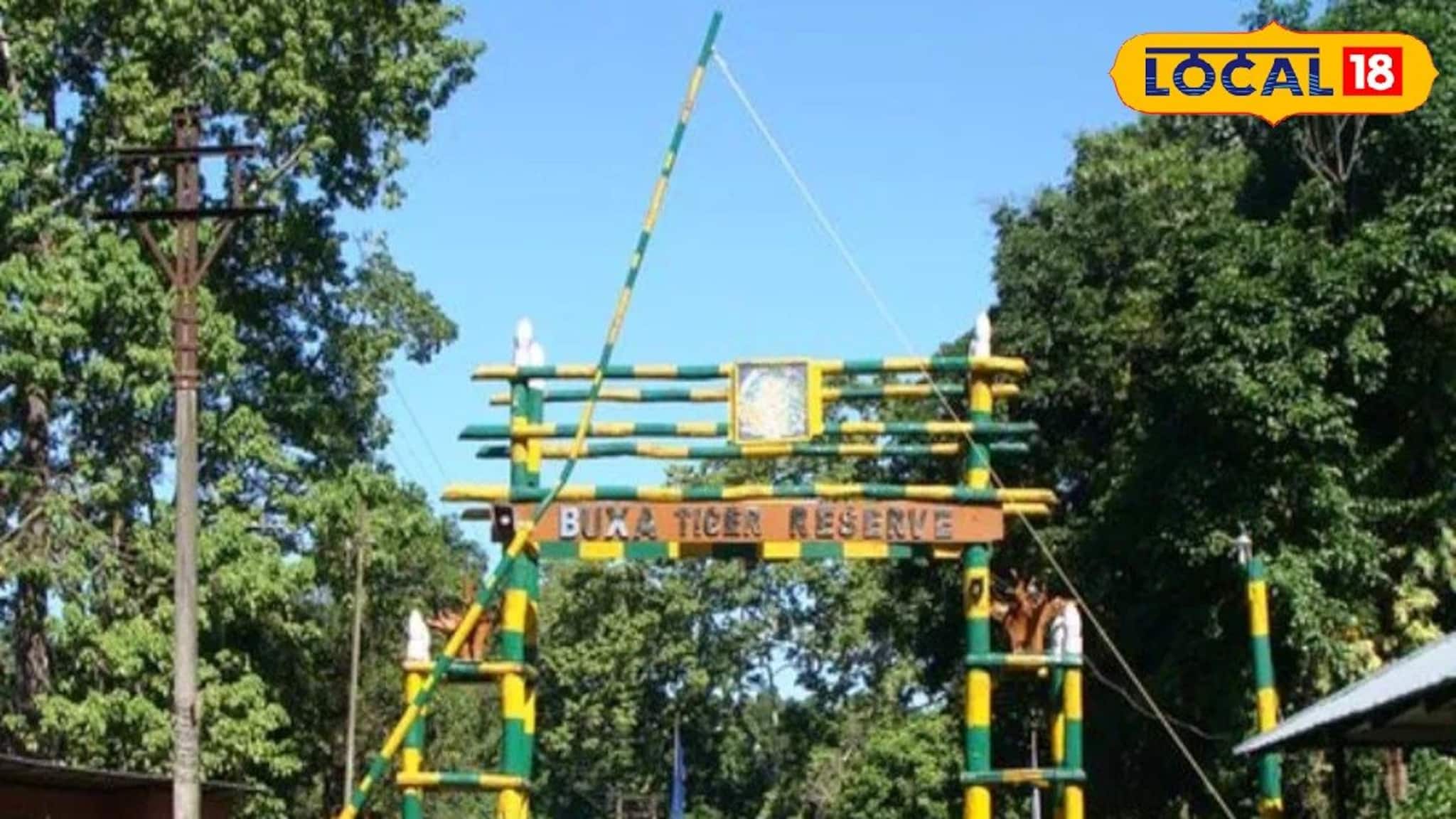 বক্সার জঙ্গলে কাঠ কুড়াতে গিয়ে বনকর্মীদের রোষের মুখে মহিলারা, চলল গুলি!