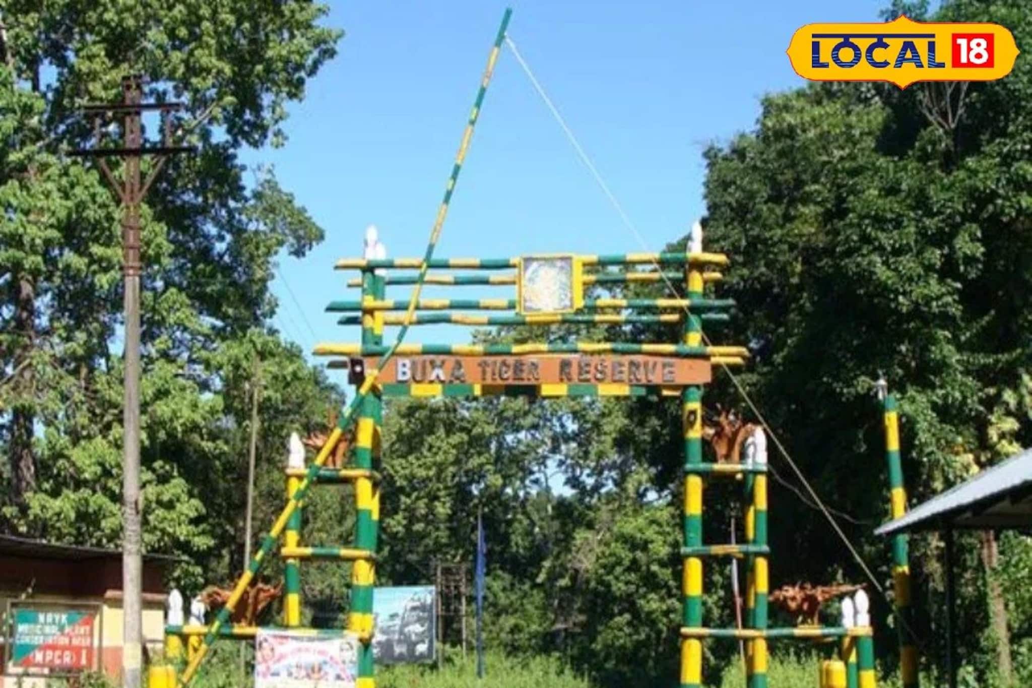 বক্সার জঙ্গলে কাঠ কুড়াতে গিয়ে বনকর্মীদের রোষের মুখে মহিলারা, চলল গুলি!