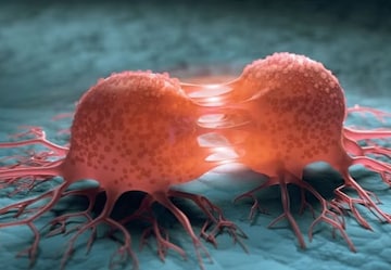 কম অক্সিজেন কি ক্যানসারের বৃদ্ধি কমাতে পারে? মূল তথ্য শেয়ার করলেন ভারতীয় গবেষকরা