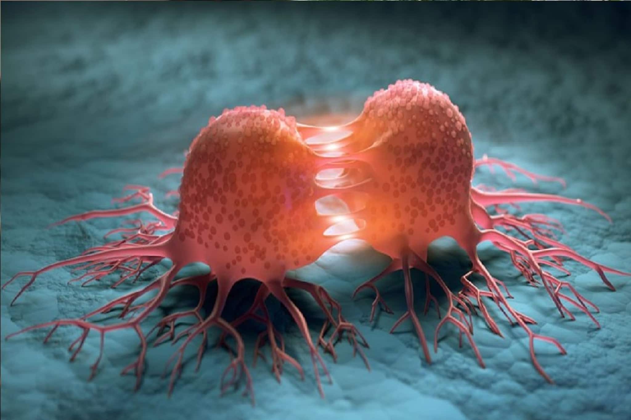 ক্যানসার 'সারলেও' মৃত্যুভয় পিছু ছাড়ে না,পরবর্তী লড়াইটা আরও কঠিন! কীভাবে খেয়াল রাখবেন