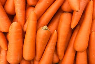 গাজর কেটে সহজ 'এই' ব্যবসা, হাজার হাজার টাকা আয়, দেগঙ্গায় কর্মসংস্থানের নতুন দিশা