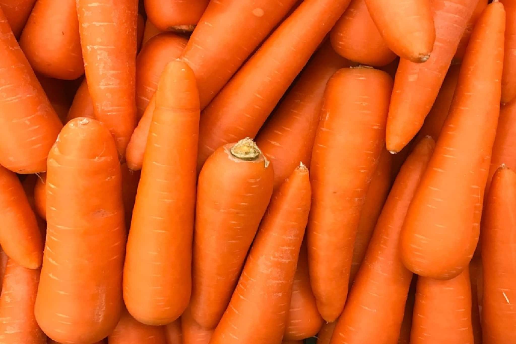 গাজর কেটে সহজ 'এই' ব্যবসা, হাজার হাজার টাকা আয়, দেগঙ্গায় কর্মসংস্থানের নতুন দিশা