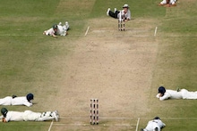 T-20 World Cup 2026 : মৌমাছির কামড়ে মাঠেই মৃত্যু আম্পায়ারের! বিশ্বকাপের মাঝে ভয়ঙ্কর কাণ্ড, ক্রিকেটে এমন ঘটনা আগে ঘটেনি!