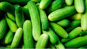 রাশিয়ায় ‘সোনার দামে’ বিকোচ্ছে শসা! এখন দাম কত জানেন? পুতিনের দেশের ‘দ্য নিউ গোল্ড’