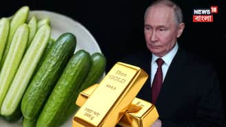 রাশিয়ায় ‘সোনার দামে’ বিকোচ্ছে শসা! এখন দাম কত জানেন? পুতিনের দেশের ‘দ্য নিউ গোল্ড’