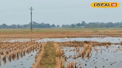 স্লুইস গেট দিয়ে নোনা জল ঢুকছে চাষের জমিতে