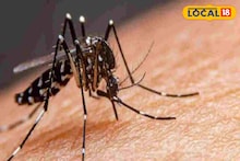 Dengue: ডেঙ্গি আক্রান্তের গ্রাফ ঊর্ধ্বমুখী! এক বছরে দ্বি'গুণ বৃদ্ধি, মশার বংশ ধ্বংস করতে পদক্ষেপ জেলা প্রশাসনের