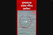 সুন্দরবনের মাতলা নদীতে Dolphin!