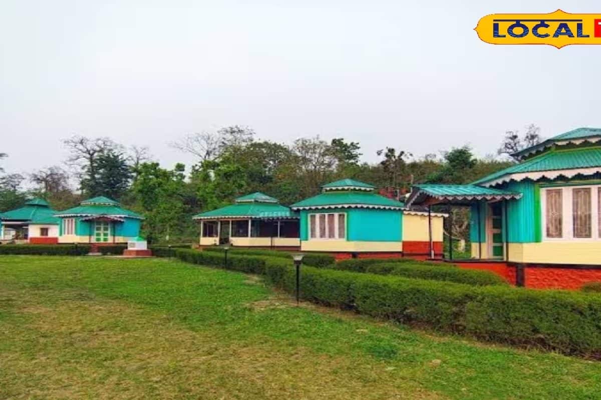 ডুয়ার্সে কম খরচে জঙ্গলে রাত্রিবাস! বনবাংলো ও ইকো-ক্যাম্পে অনন্য অভিজ্ঞতা, দোলে ঘুরে আসুন