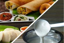 Dosa: এক কেজি চালে কতটা ডাল যোগ করা উচিত? সঠিক পরিমাপ জানলে প্রতিবারেই ধোসার ব্যাটার হবে অতুলনীয়