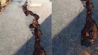 ভূমিকম্পে ফেটে চৌচির নতুন তৈরি রাস্তা! কলকাতায় কতটা প্রবল কম্পন, প্রমাণ বেহালায় ভূমিকম্পে ফেটে চৌচির নতুন তৈরি রাস্তা! কলকাতায় কতটা প্রবল কম্পন, প্রমাণ বেহালায়