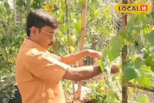 East Medinipur News: এগরার শিক্ষকের অভিনব আইডিয়া! জমি ছেড়ে বাড়ির ছাদেই ফলাচ্ছেন সবুজ শাকসবজি, অল্প জায়গায় চাষে নয়া দিশা