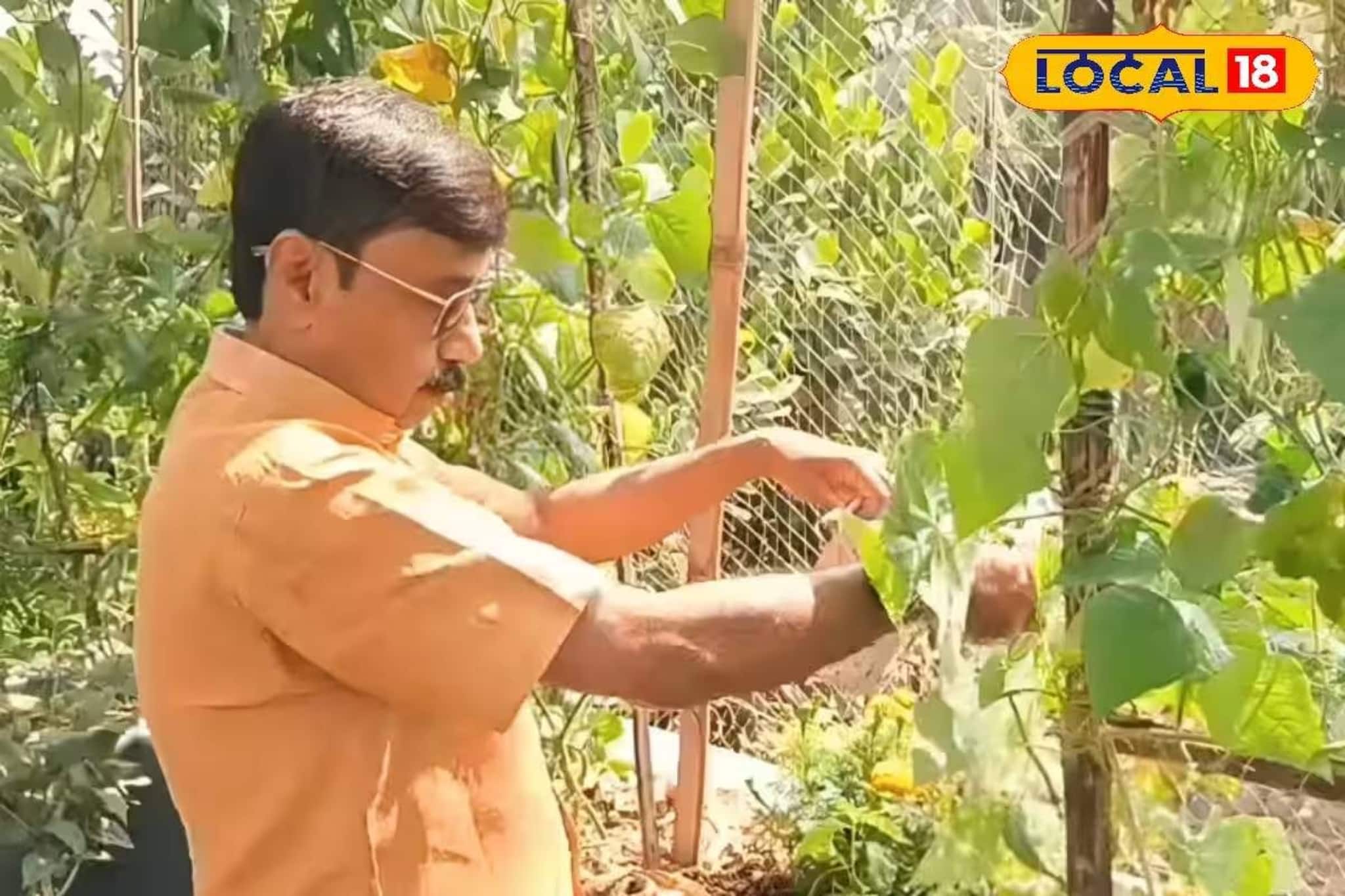 এগরার শিক্ষকের অভিনব আইডিয়া! জমি ছেড়ে বাড়ির ছাদেই ফলাচ্ছেন সবুজ শাকসবজি