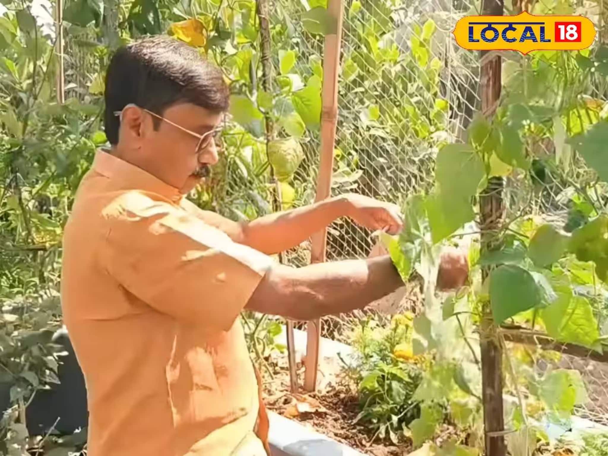 এগরার শিক্ষকের অভিনব আইডিয়া! জমি ছেড়ে বাড়ির ছাদেই ফলাচ্ছেন সবুজ শাকসবজি