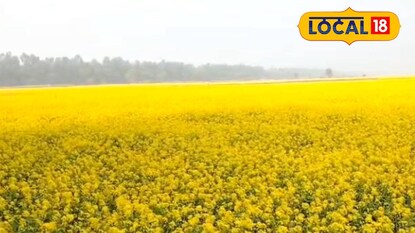 নদীর বুকে কৃষিকাজ নদীর বুকে কৃষিকাজ