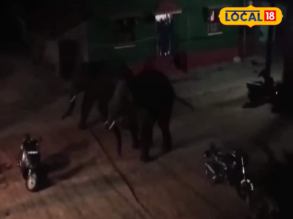 চন্দ্রকোনায় হাতির তাণ্ডব 