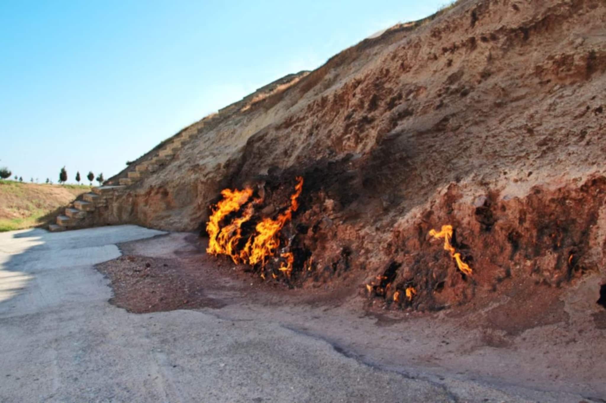 শুশুনিয়া পাহাড়ের অগ্নিকাণ্ডের ঘটনা! দমকল ও বন দফতরের তৎপরতায় আপাতত নিয়ন্ত্রণে আগুন