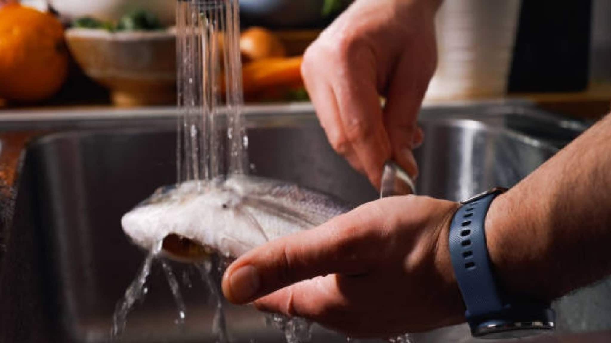 How to clean Fish: রান্নার আগে যে কোনও মাছ ধুয়ে  নিন ঠিক 'এভাবে', গন্ধ যাবেই যাবে, সঠিক উপায় জানুন আপনিও