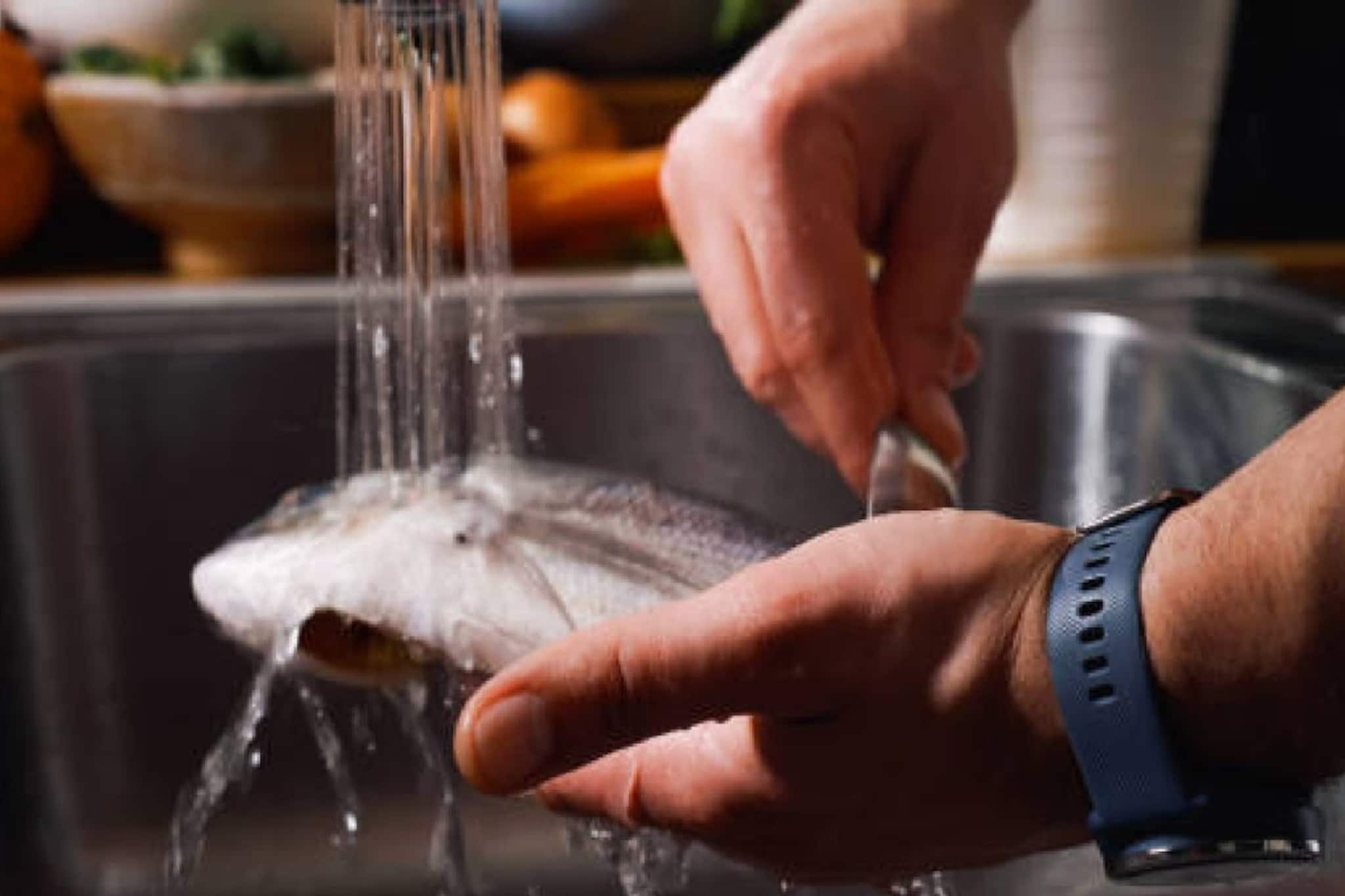 রান্নার আগে যে কোনও মাছ ধুয়ে নিন ঠিক 'এভাবে', গন্ধ যাবেই যাবে, সঠিক উপায় জানুন আপনিও রান্নার আগে যে কোনও মাছ ধুয়ে নিন ঠিক 'এভাবে', গন্ধ যাবেই যাবে, সঠিক উপায় জানুন আপনিও