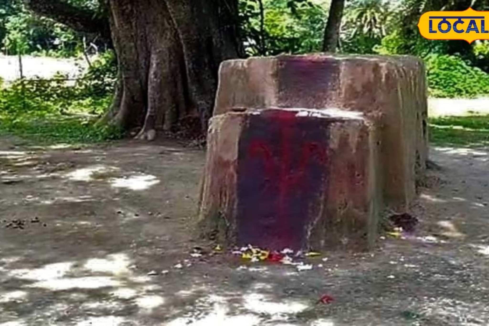 বটগাছের নীচে 'নিরাকার' দেবীর আরাধনা! গঙ্গারামপুরের জাগ্রত মাটিয়া কালীর দর্শনে ভক্তের ঢল