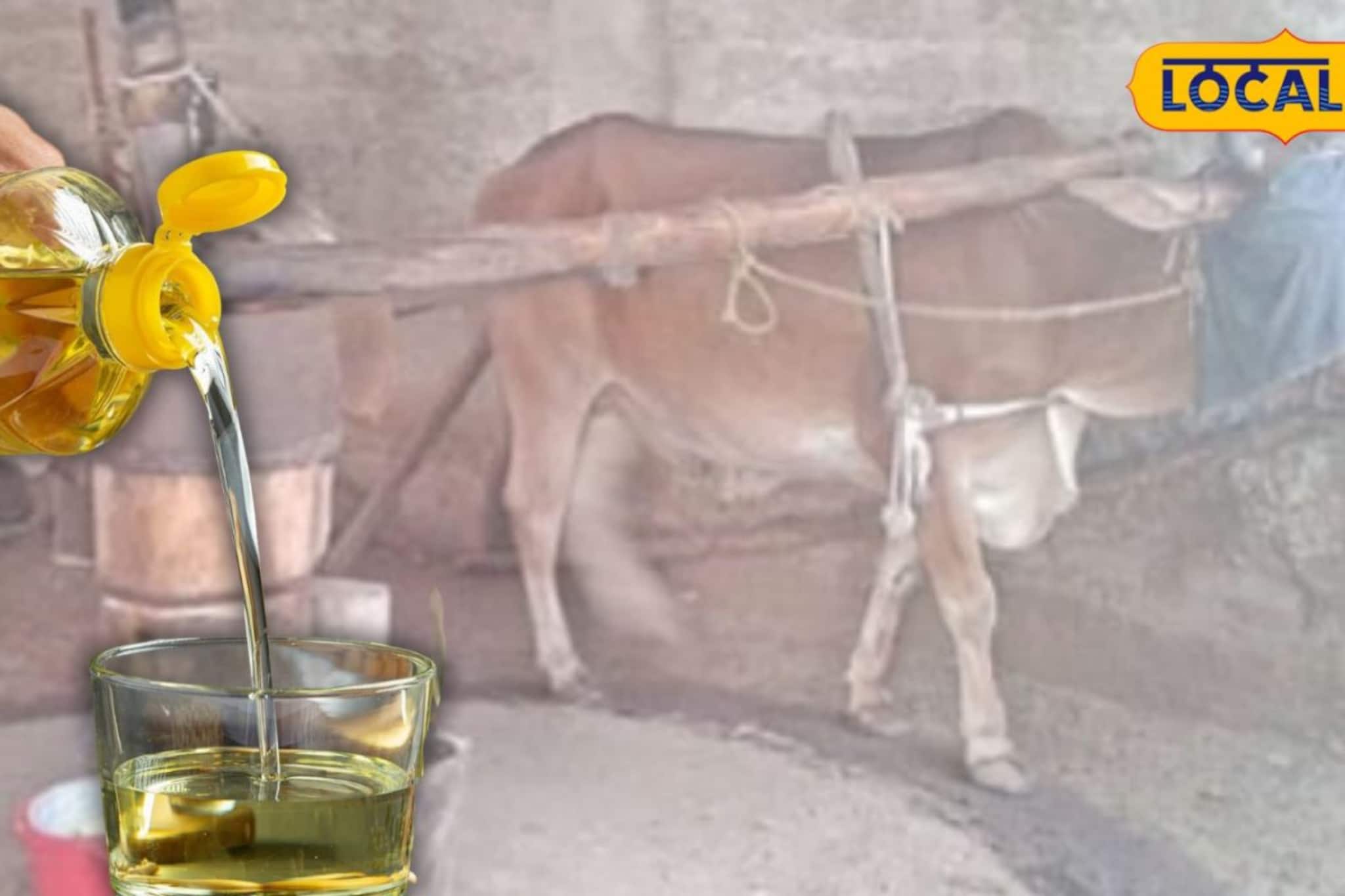 ভেজালের ভিড়েও ১০০ শতাংশ গ্যারান্টি! ঘানির খাঁটি সরষে তেল তৈরি পদ্ধতিতেই রয়েছে চমক