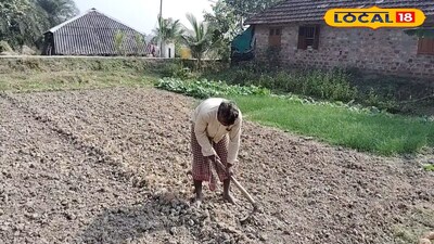 ঘোড়ামারায় এবার কৃষিকাজের সম্ভবনা