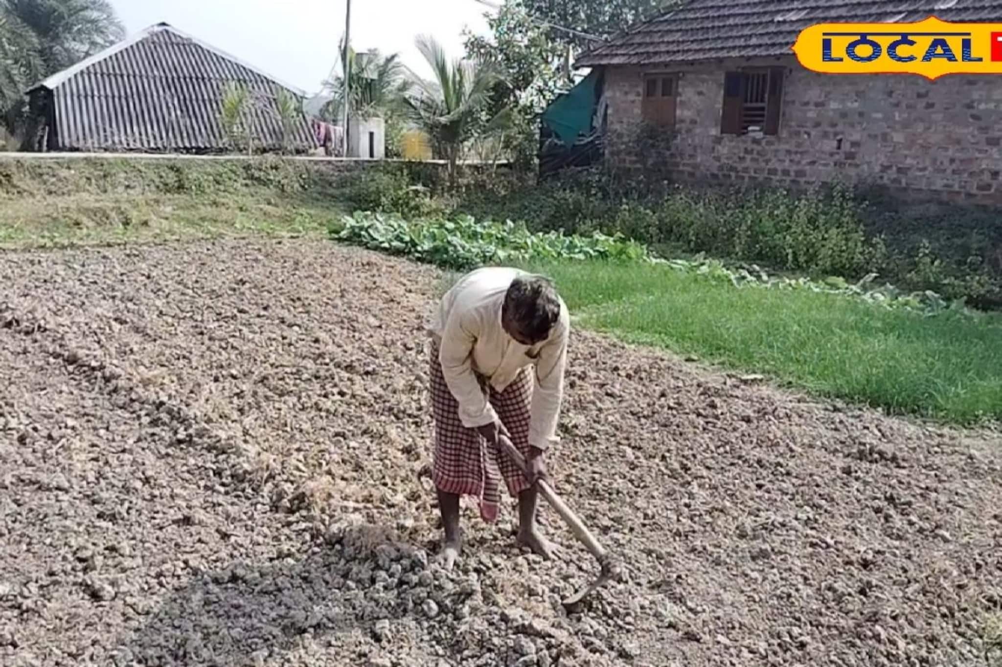 ডুবন্ত দ্বীপে নতুন আশার আলো! সুন্দরবনের ঘোড়ামারা দ্বীপে এবার কৃষিকাজের সম্ভবনা ডুবন্ত দ্বীপে নতুন আশার আলো! সুন্দরবনের ঘোড়ামারা দ্বীপে এবার কৃষিকাজের সম্ভবনা