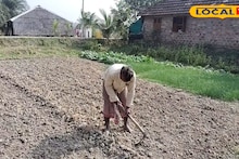 Sundarban News: ডুবন্ত দ্বীপে নতুন আশার আলো! সুন্দরবনের ঘোড়ামারা দ্বীপে কৃষিকাজের সম্ভবনা, সাগরের অর্থনৈতিক অবস্থায় আমূল পরিবর্তনের ইঙ্গিত